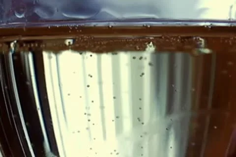 Champagne Stock Footage 10610041