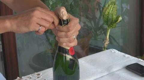 Champagne  Vídeos de archivo 12185438