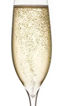 Champagne in glass with bubbles fresch Stock Photos