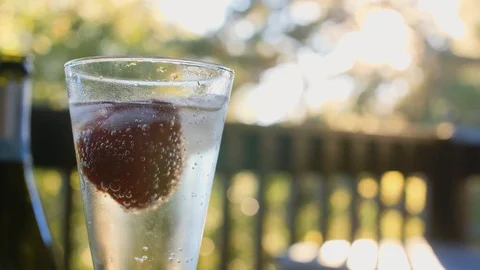 Champagne In The Glass Stock Footage 101324515