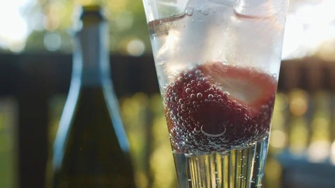 Champagne In The Glass Stock Footage 101324574