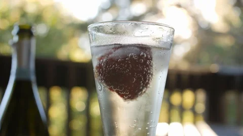 Champagne In The Glass Stock Footage 101324794
