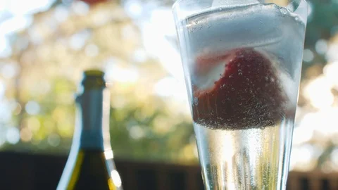 Champagne In The Glass Stock Footage 101324956