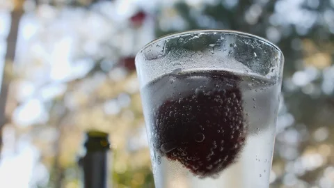 Champagne In The Glass Stock Footage 101325737