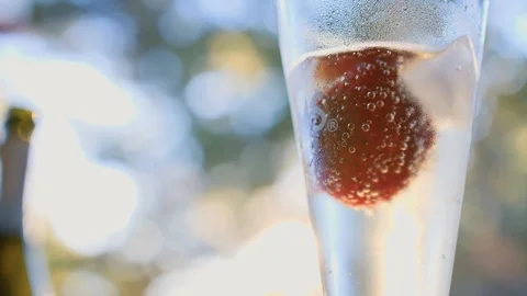Champagne In The Glass Stock Footage 101326239