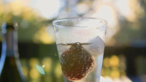 Champagne In The Glass Stock Footage 101326598