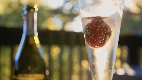 Champagne In The Glass Stock Footage 101326765