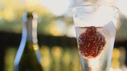 Champagne In The Glass Stock Footage 101327107