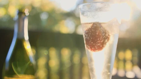 Champagne In The Glass Stock Footage 101328387