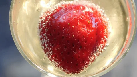 Champagne In The Glass Stock Footage 101330340