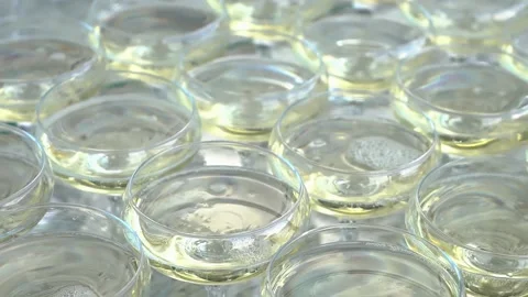 Champagne glasses Video stock 194571013