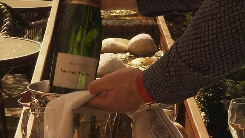 Champagne on ice being presented to the camera alternative - Slow motion Stock Footage 112711683