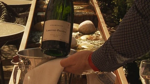 Champagne on ice being presented to the camera - Slow motion Stock Footage 112712554