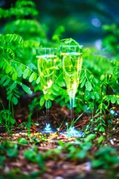 Champagne Photos