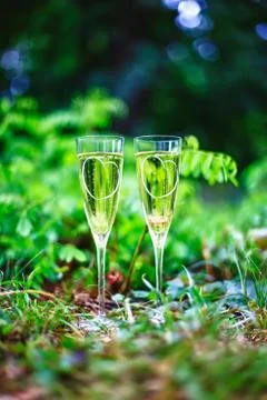 Champagne Stock Photos