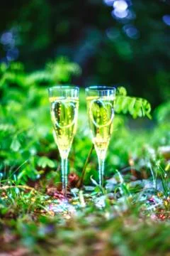 Champagne Stock-Fotos