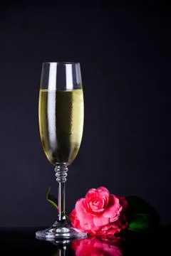 Champagne Stock Photos
