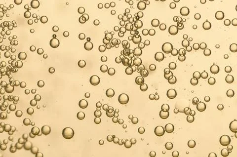 Champagne Stock Photos