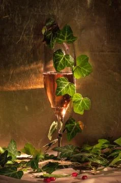 Champagne Stock Photos