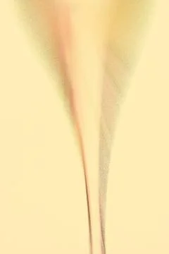 Champagne Stock Photos