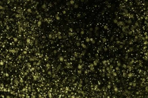 Champagne Stock Photos