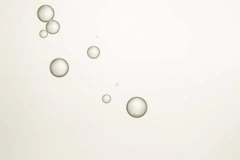 Champagne Stock Photos
