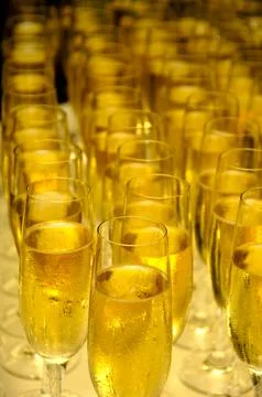Champagne Stock Photos