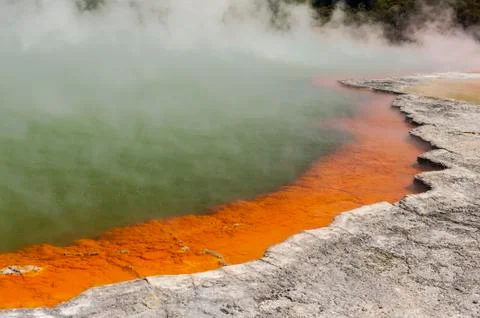 Champagne pool Stock Photos