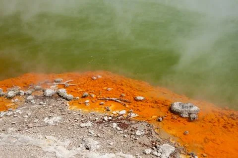 Champagne pool Foto stock