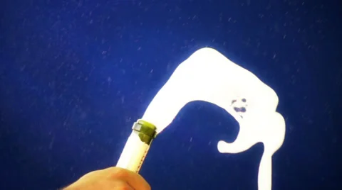 Champagne slow motion Stock Footage 32354780