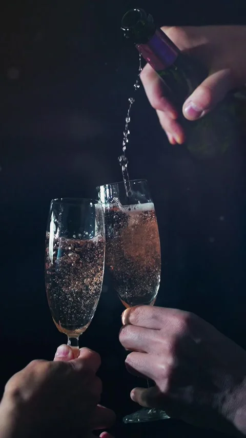 Champagne toast Stock Footage 227015467