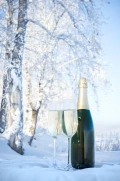 Champagne on winter background Stock Photos