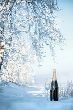 Champagne on winter background Stock Photos