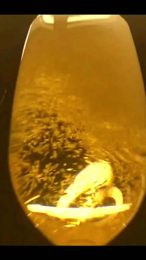 Champain Stock Footage 303390254