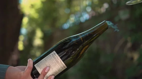 Champange bottle opening. Sabrage Technique. Women hands. Video stock 155357533