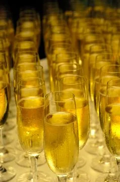 Champange Stock Photos