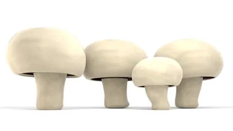 Champignon agaricus set Stock Illustration