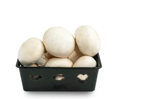 Champignon in black plastic container 스톡 사진