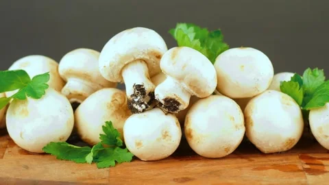 Champignon 動画素材 136973317