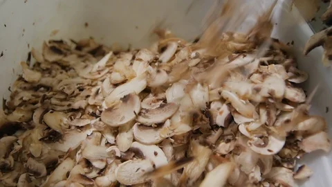 Champignon Grinding Video stock 98149742