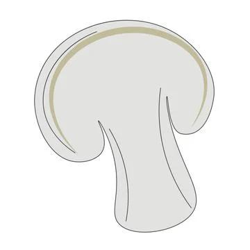 Champignon hand drawn vector illustration Stock Illustration