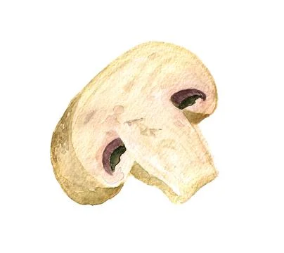 Champignon Stock Illustration