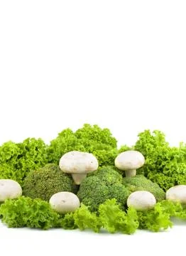 Champignon on a lettuce Stock Photos