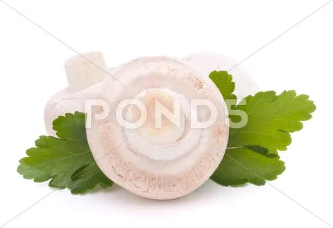 Champignon mushroom and parsley leaves Stock Photos