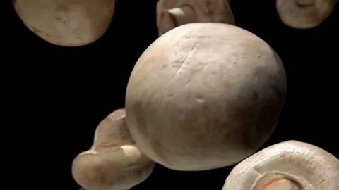 Champignon mushroom flying down Stock Footage 212441152