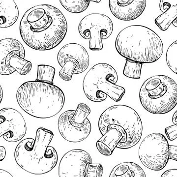 Champignon mushroom hand drawn vector seamless pattern. Sketch f Stock Illustration