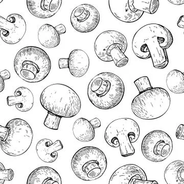 Champignon mushroom hand drawn vector seamless pattern. Sketch f Stock Illustration