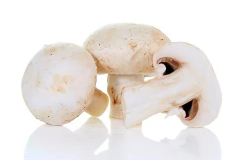 Champignon mushroom Stock Photos
