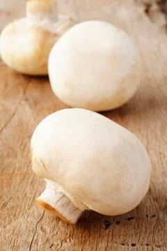 Champignon mushroom Stock Photos