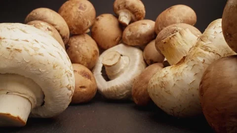 Champignon mushrooms on black background. Camera moving through pile of mushroom Video stock 243746571